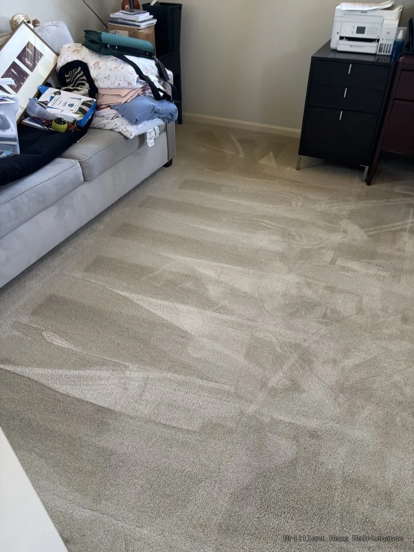 Living-room carpet care by Brilliant Home Maintenance