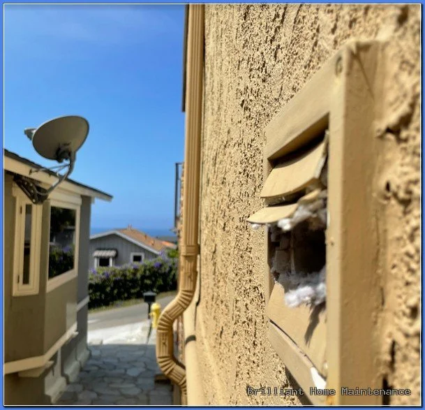 Power washing a Bay Area home by Brilliant Home Maintenance