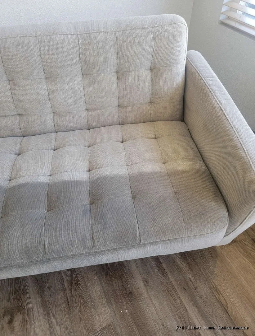 Freshly cleaned carpet in a Bay Area home by Brilliant Home Maintenance